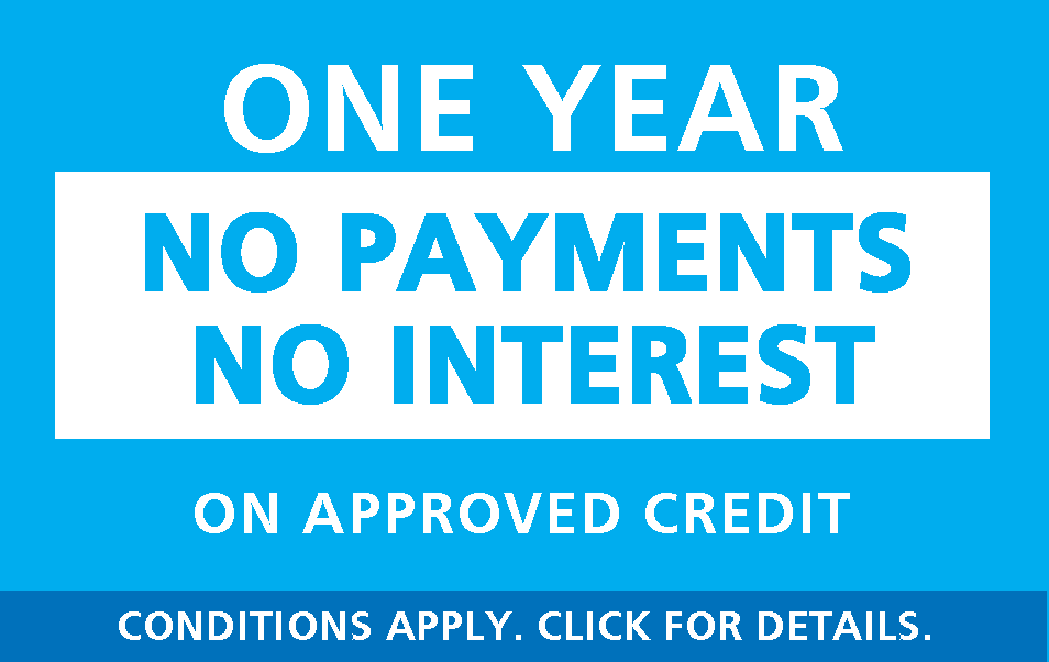 No Payments For a Year Graphic