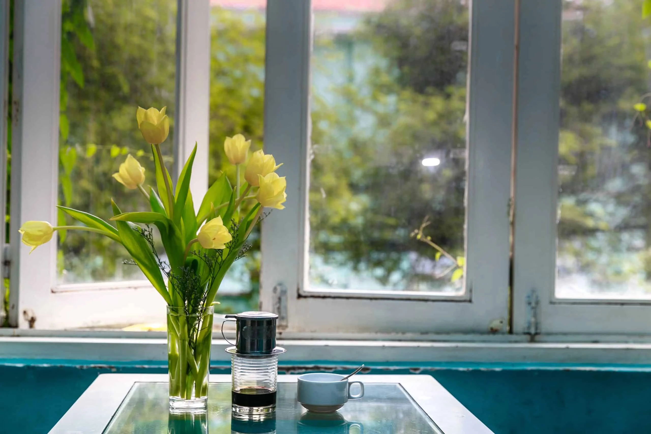 window and flowers